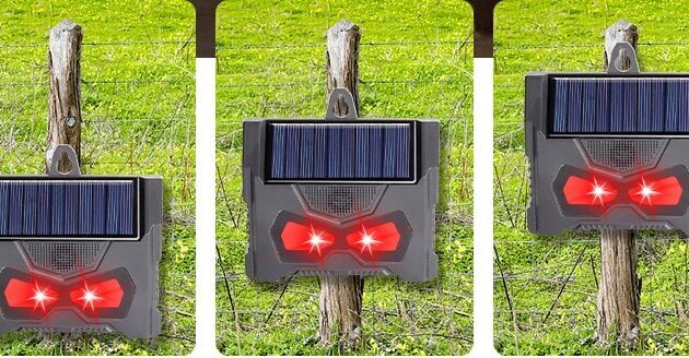 Solar Powered Animal Repellent