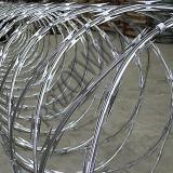 980mm Double Galvanized Razor wire