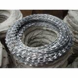 450mm Double Galvanized Razor Wire 10 Meters