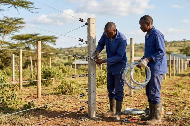 How to Choose an Electric Fence Installer in Kenya