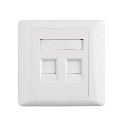 Dual Port Face Plate